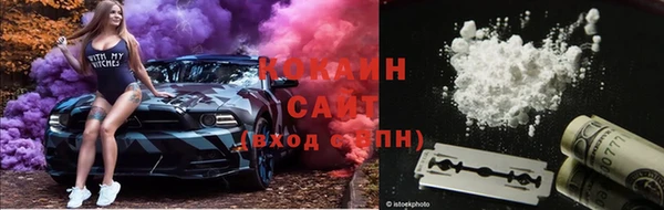 стаф Каменногорск
