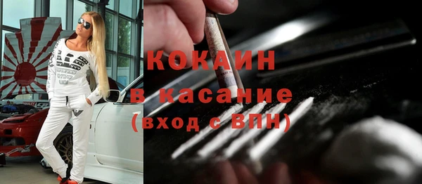 стаф Каменногорск