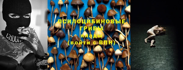 амф Инта