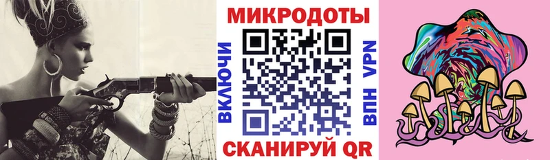 Купить  Козловка  Псилоцибиновые грибы мицелий 